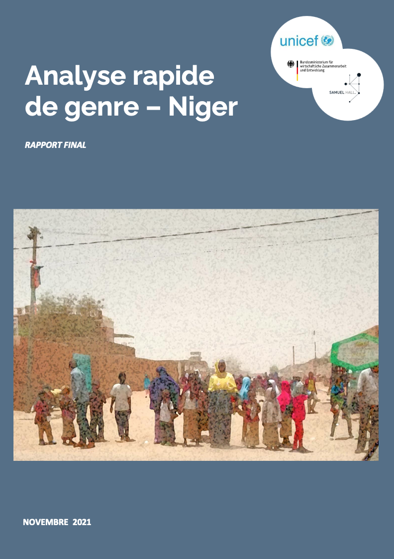 Lire la suite à propos de l’article Analyse rapide de genre – Niger